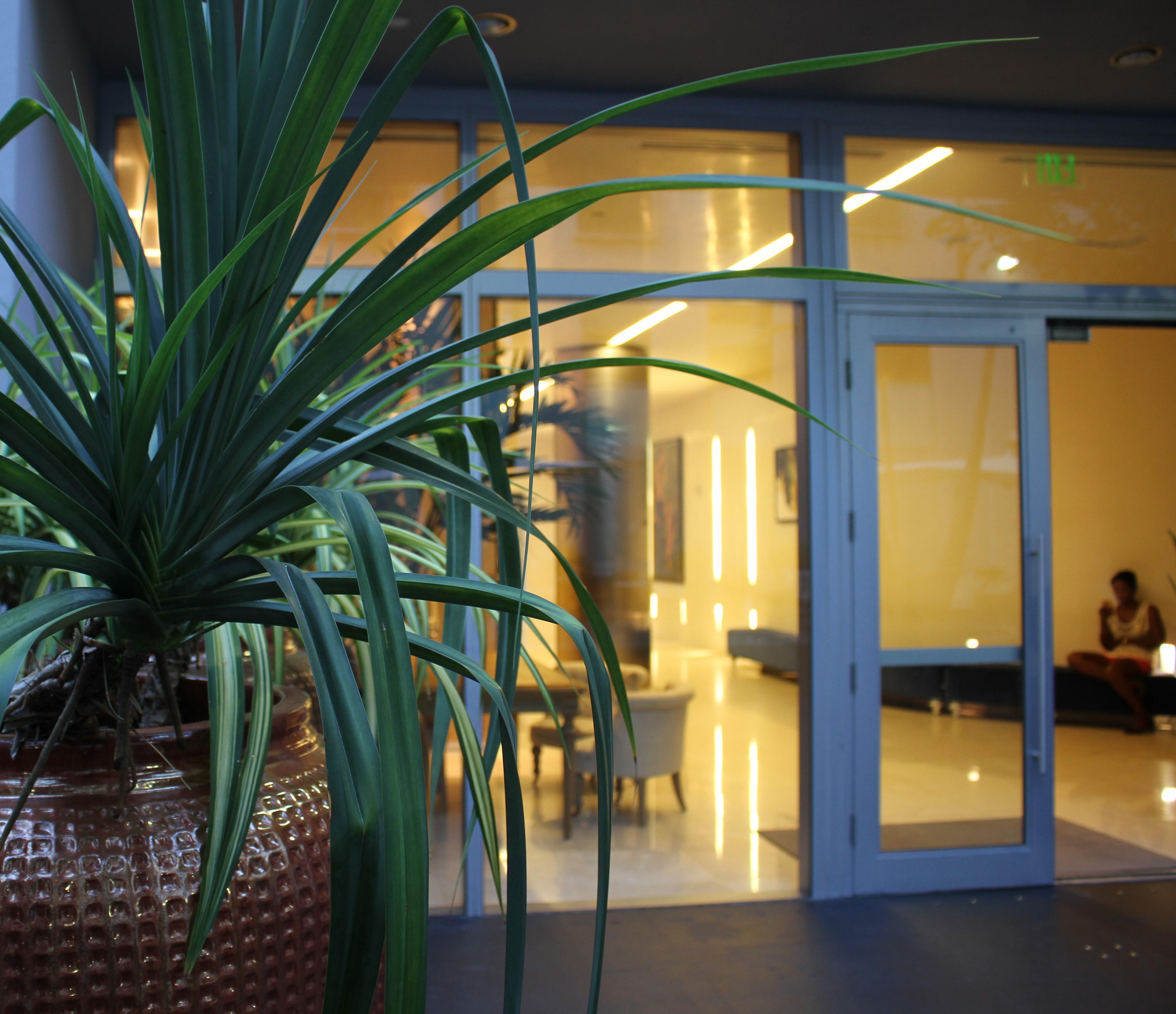 Boulan South Beach Miami Beach Bagian luar foto